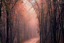  莱万多夫斯基巅峰对决，C罗与40激战DWG分钟，突破纪录胜负难料！